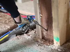 termite-control-service.jpg